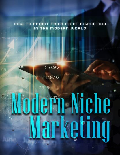 Modern Niche Marketing Course - Image 2