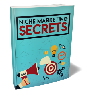 Niche Marketing Secrets Course